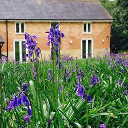 Grooms Cottage Alkham Dış mekan fotoğraf